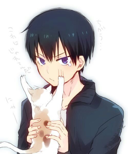 Фото e40387886db3536e6dddcaa5f19632ebc3eaeef1_hq.jpg