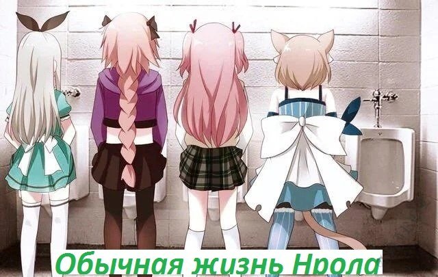 Фото нрол.jpg